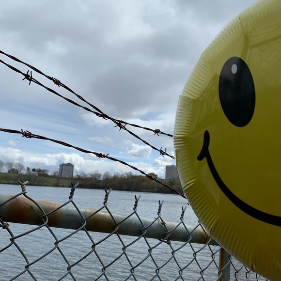 Meet your Posher, Noah - Picture 1 of 1